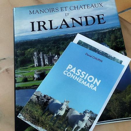 Maison De Campagne Au Coeur D'Un Elevage De Poneys Connemara Le Landreau 외부 사진